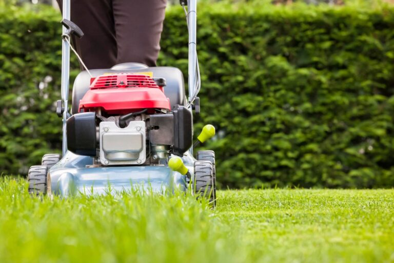 How to Start a Successful Lawn Care Business in 5 steps!