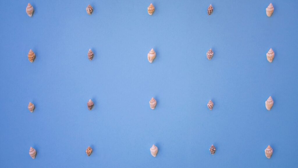 Overcoming Perfectionism- Symmetrical Seashells